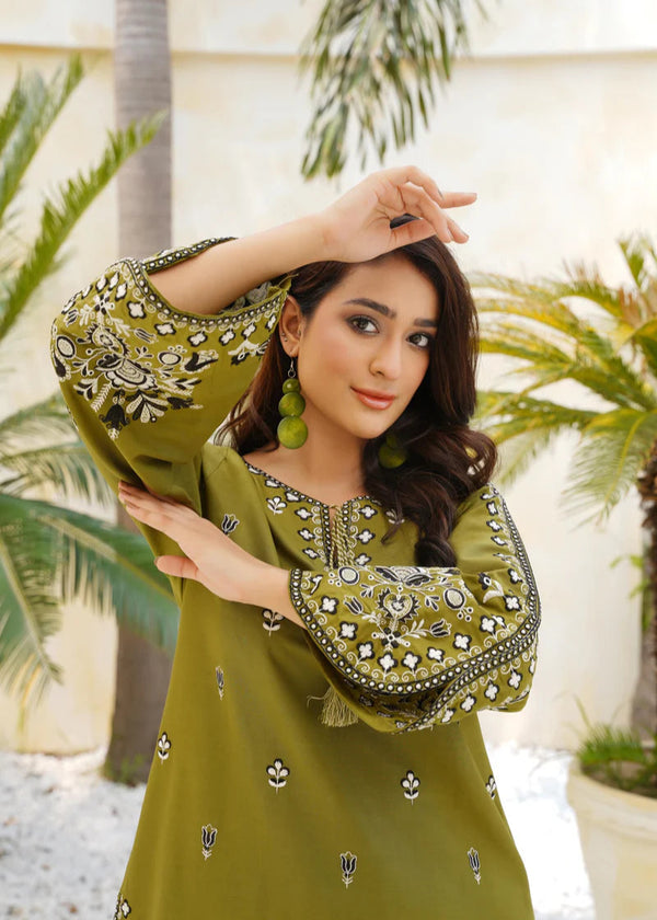 Green Gem 2Pc Embroidered Dress